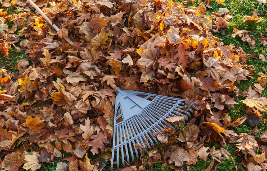 Gartenabfallentsorgung