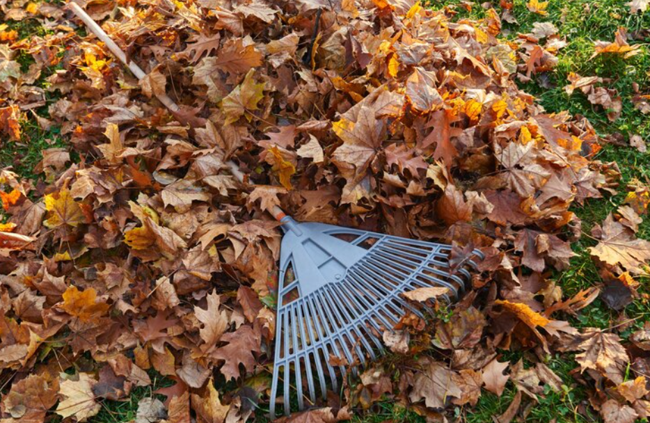 Gartenabfallentsorgung